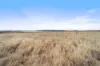 Lot 2 Monaro Highway, Bunyan NSW 2630-Image