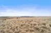 Lot 2 Monaro Highway, Bunyan NSW 2630-Image