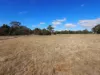Lot 2 Torneys Lane, Beaufort VIC 3373-Image