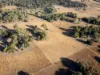 Lot 2 Torneys Lane, Beaufort VIC 3373-Image