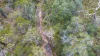 Lot 21 Baldaw Road, Captain Creek QLD 4677-Image