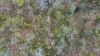 Lot 21 Baldaw Road, Captain Creek QLD 4677-Image