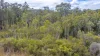 Lot 21 Baldaw Road, Captain Creek QLD 4677-Image