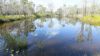 Lot 236 Allingham Way, Agnes Water QLD 4677-Image