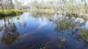 Lot 236 Allingham Way, Agnes Water QLD 4677-Image