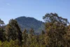 Lot 302/104 Taylors Lane, BADAGARANG NSW 2540-Image