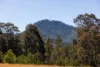 Lot 308/104 Taylors Lane, BADAGARANG NSW 2540-Image