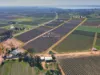 Lot 32 Thomas Road, Barmera SA 5345-Image