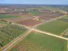 Lot 32 Thomas Road, Barmera SA 5345-Image