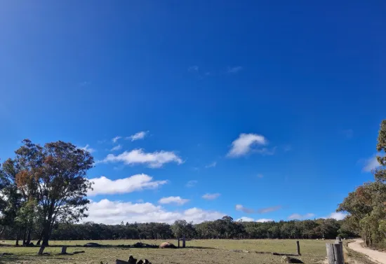 Lot 42 Ravensmoor Road, Amiens QLD 4380-Image