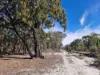 Lot 42 Ravensmoor Road, Amiens QLD 4380-Image