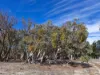 Lot 42 Ravensmoor Road, Amiens QLD 4380-Image