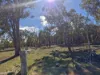 Lot 42 Ravensmoor Road, Amiens QLD 4380-Image