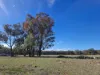 Lot 42 Ravensmoor Road, Amiens QLD 4380-Image