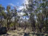Lot 42 Ravensmoor Road, Amiens QLD 4380-Image
