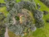 Lot 44 Lukes Road, Augusta WA 6290-Image