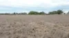 Lot 503 William Street, Aubigny QLD 4401-Image