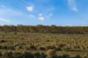 Lot 53 Mallee Road, Brownlow SA 5374-Image