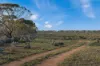 Lot 53 Mallee Road, Brownlow SA 5374-Image
