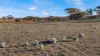 Lot 53 Mallee Road, Brownlow SA 5374-Image