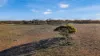 Lot 53 Mallee Road, Brownlow SA 5374-Image