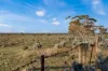 Lot 53 Mallee Road, Brownlow SA 5374-Image