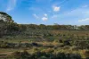 Lot 53 Mallee Road, Brownlow SA 5374-Image