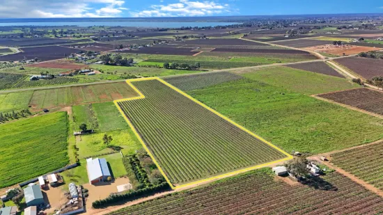 Lot 734 Coates Road, Barmera SA 5345-Image
