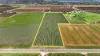 Lot 734 Coates Road, Barmera SA 5345-Image