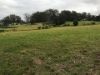 Lot 86 Andersons Lane, Berry NSW 2535-Image