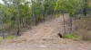 Lot 96 Avocado Crescent, Captain Creek QLD 4677-Image