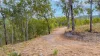 Lot 96 Avocado Crescent, Captain Creek QLD 4677-Image
