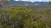 Lot 96 Avocado Crescent, Captain Creek QLD 4677-Image