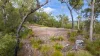 Lot 96 Avocado Crescent, Captain Creek QLD 4677-Image