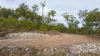 Lot 96 Avocado Crescent, Captain Creek QLD 4677-Image