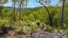 Lot 96 Avocado Crescent, Captain Creek QLD 4677-Image
