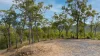 Lot 96 Avocado Crescent, Captain Creek QLD 4677-Image