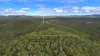 Lot 96 Avocado Crescent, Captain Creek QLD 4677-Image