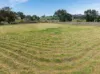 Lots 1-4,/27 Flood Street, Cudal NSW 2864-Image