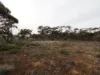 Lots 1-6 Towns Street, Chillingollah VIC 3585-Image