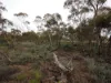 Lots 1-6 Towns Street, Chillingollah VIC 3585-Image
