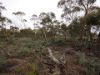 Lots 1-6 Towns Street, Chillingollah VIC 3585-Image