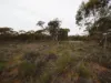 Lots 1-6 Towns Street, Chillingollah VIC 3585-Image