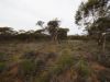 Lots 1-6 Towns Street, Chillingollah VIC 3585-Image