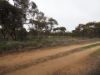 Lots 1-6 Towns Street, Chillingollah VIC 3585-Image