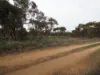 Lots 1-6 Towns Street, Chillingollah VIC 3585-Image