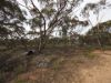Lots 1-6 Towns Street, Chillingollah VIC 3585-Image
