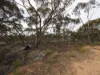 Lots 1-6 Towns Street, Chillingollah VIC 3585-Image