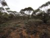 Lots 1-6 Towns Street, Chillingollah VIC 3585-Image