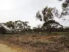Lots 1-6 Towns Street, Chillingollah VIC 3585-Image